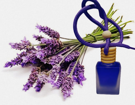 🚗 Hanging Car Perfume Pods Diffuser Scent (Pack of 1, Assorted)🌸