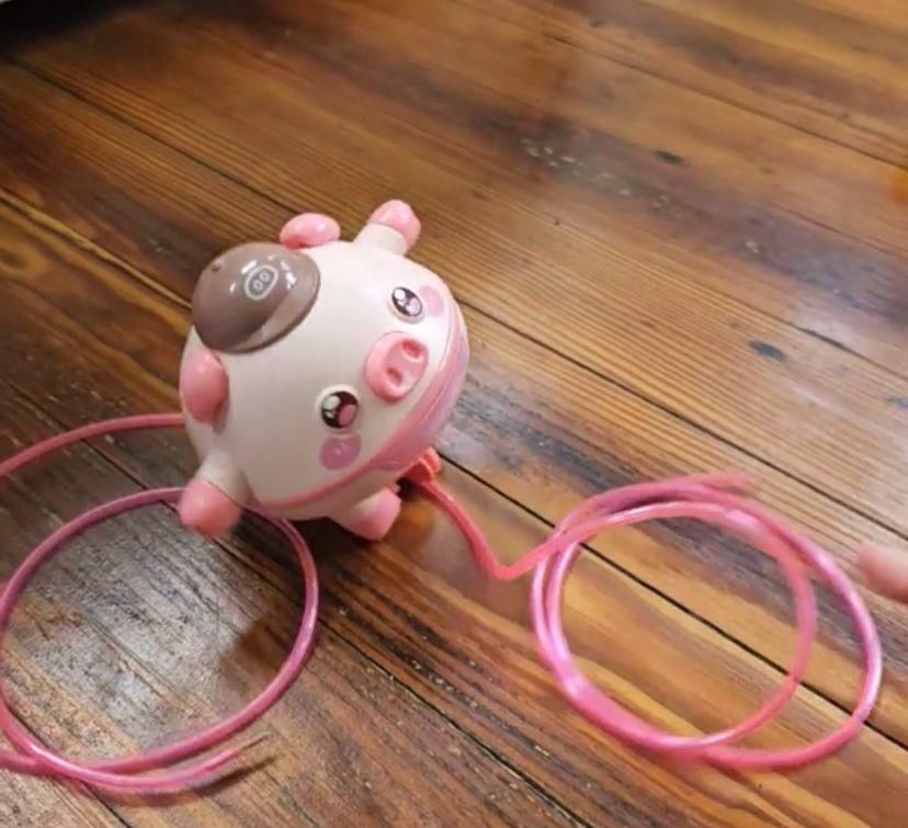 🐷 Tightrope Walking Tumbler Pig Toy for Children (Pack of 1)